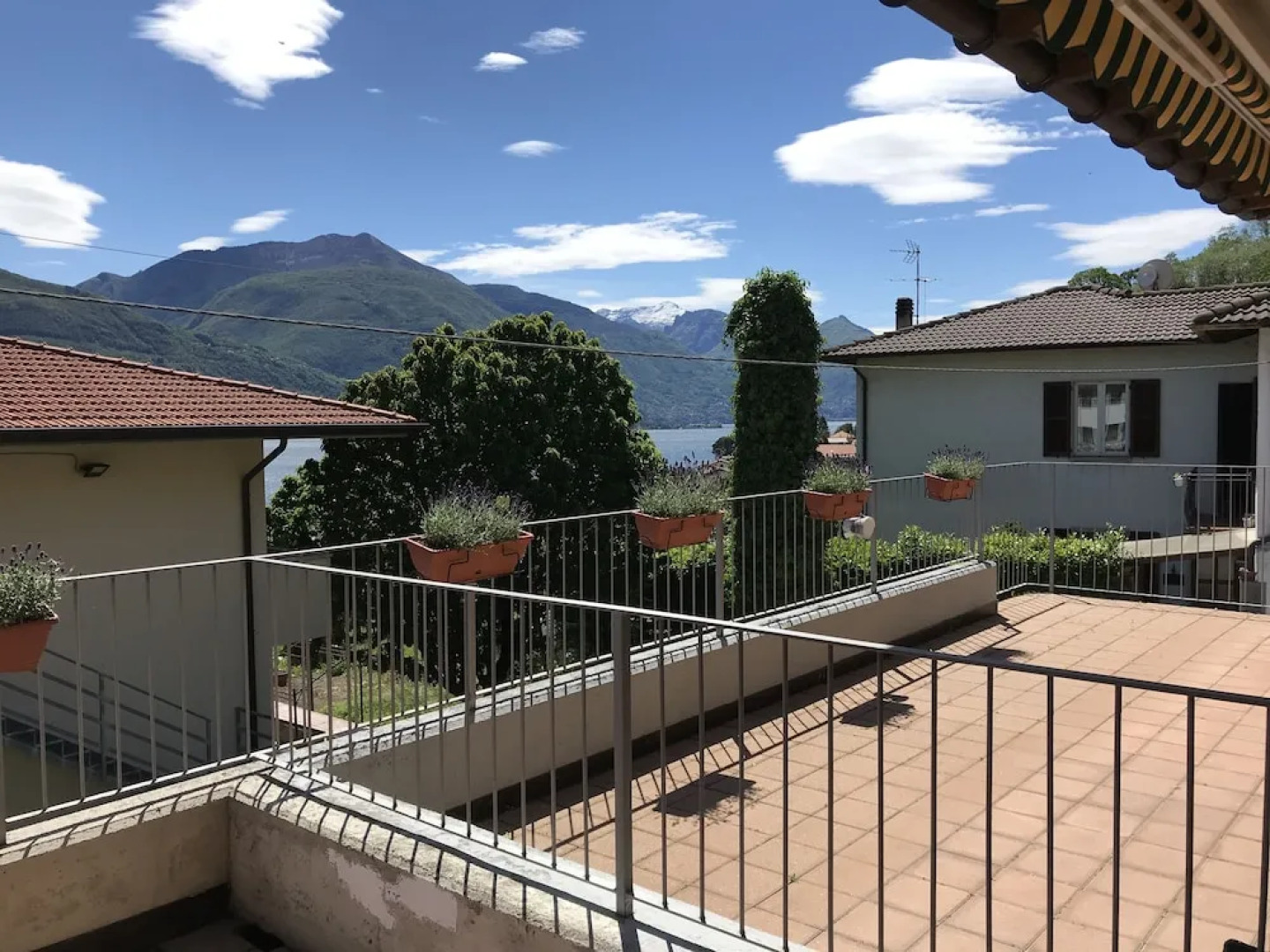 Lake Como - Orchidea