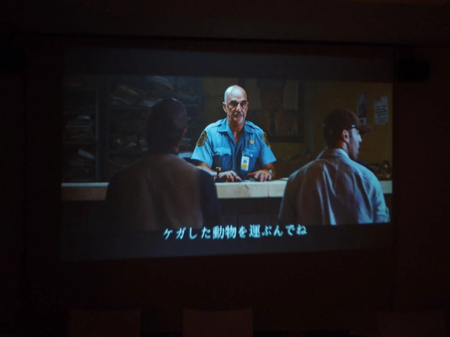 Kikkake Green and Mt.Fuji - Hostel