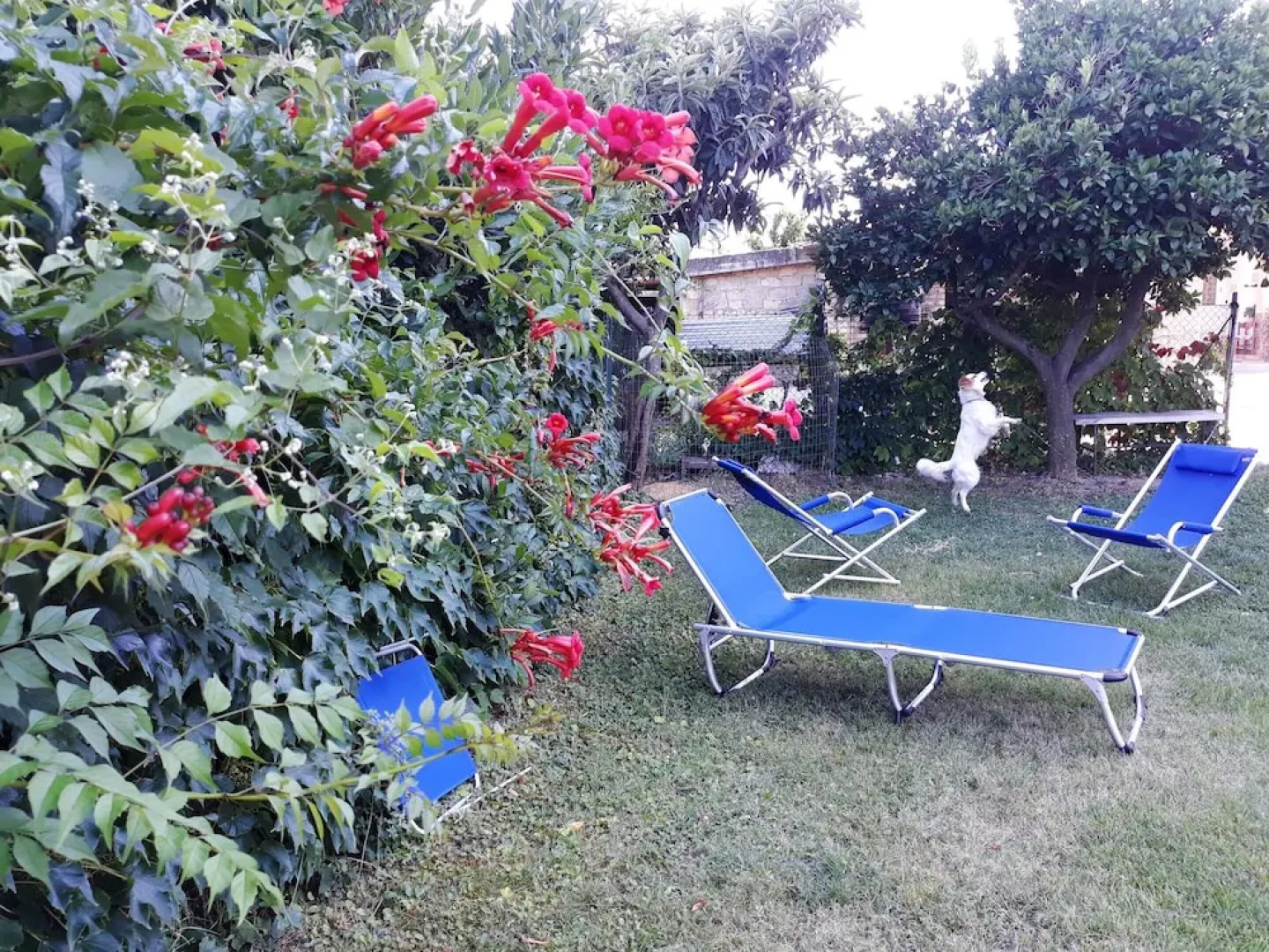 Studio in Canosa Sannita, With Wonderful Mountain View, Enclosed Garde