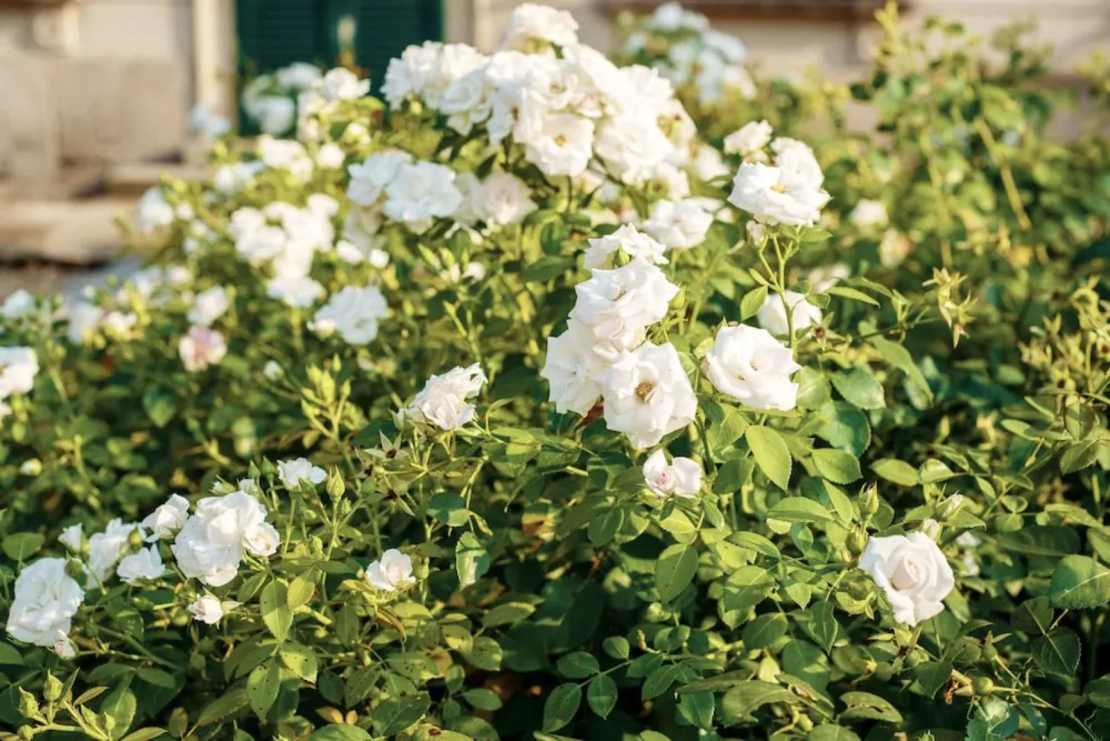 B&B Dimora de Roteris