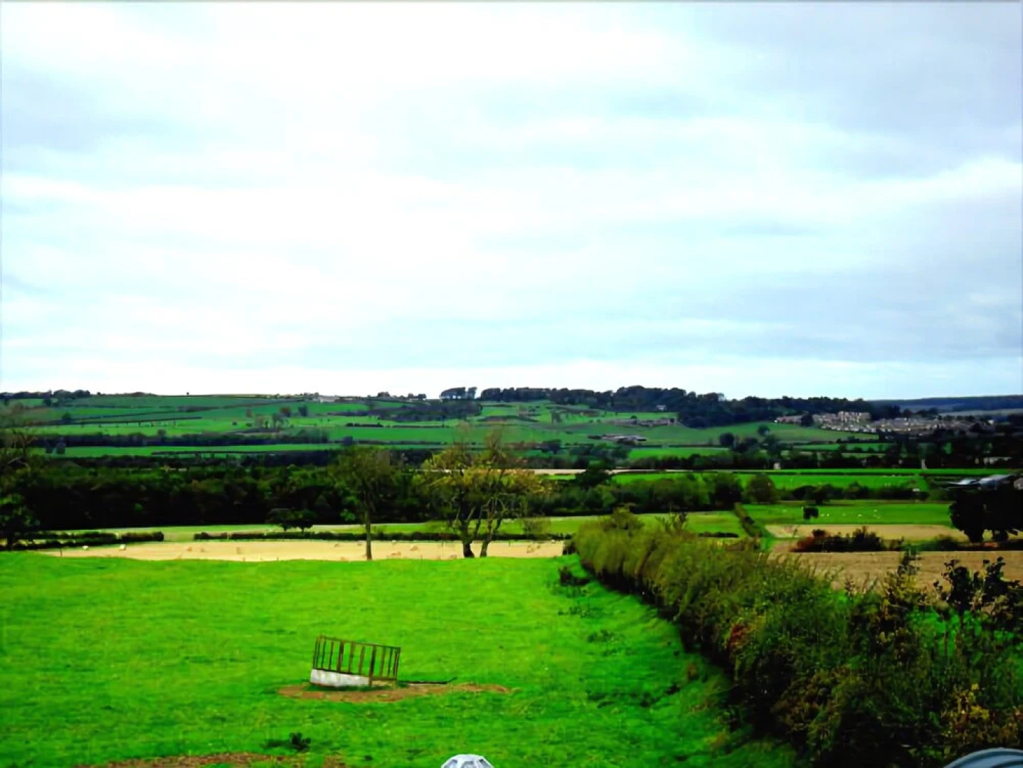 Deneview Bed & Breakfast