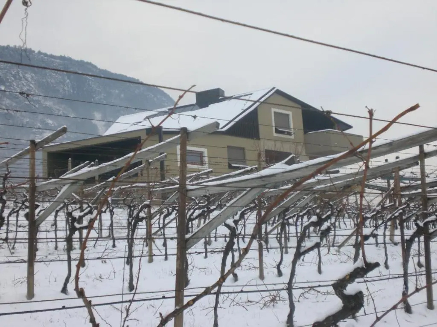 Biobauernhof St. Quirinus