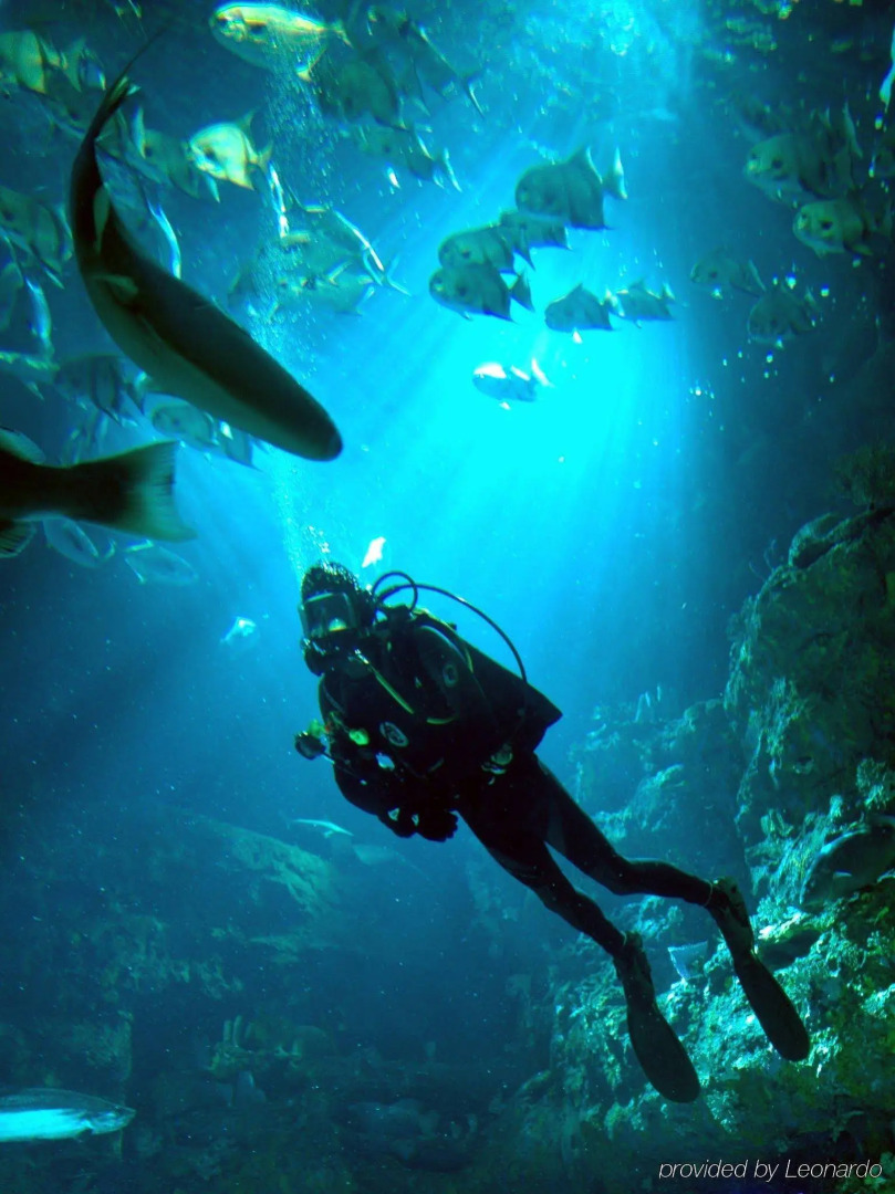 Quality Hotel Morehead City