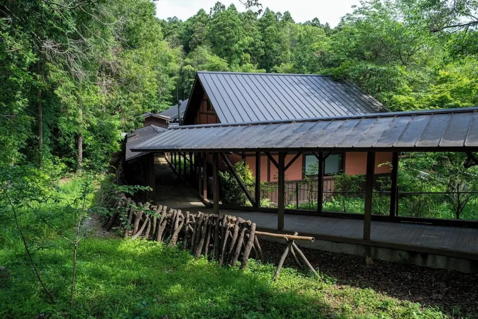 Tsuwabuki-no-Hana