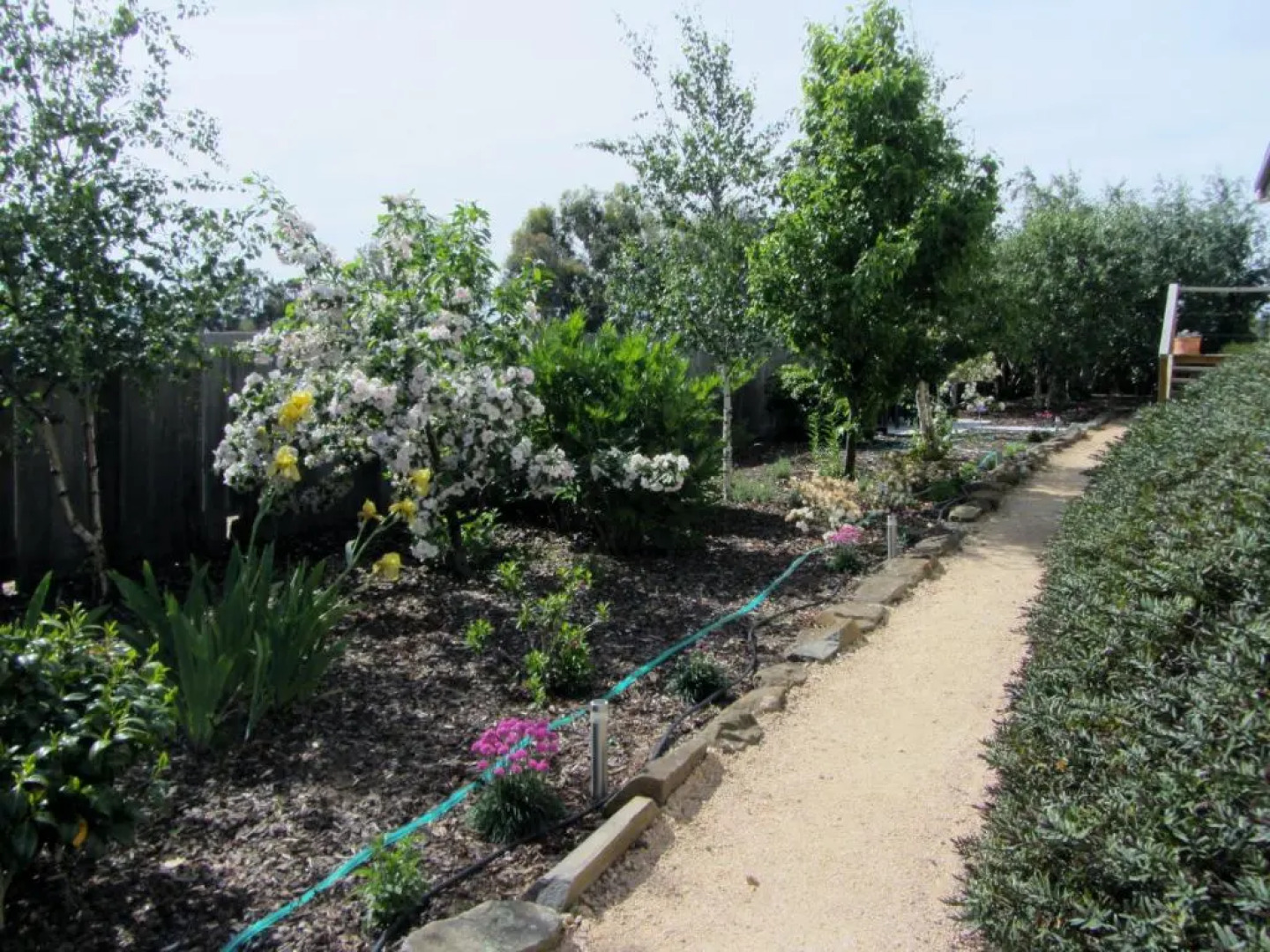 Elm Trees Accommodation @ Ross