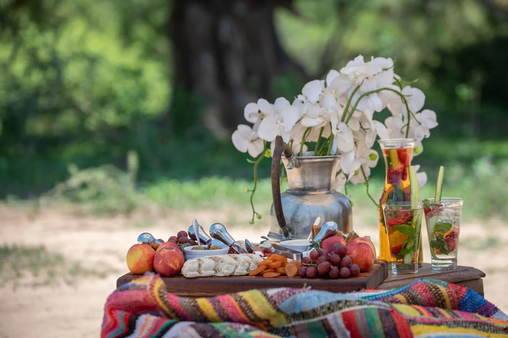 Kapama Southern Camp