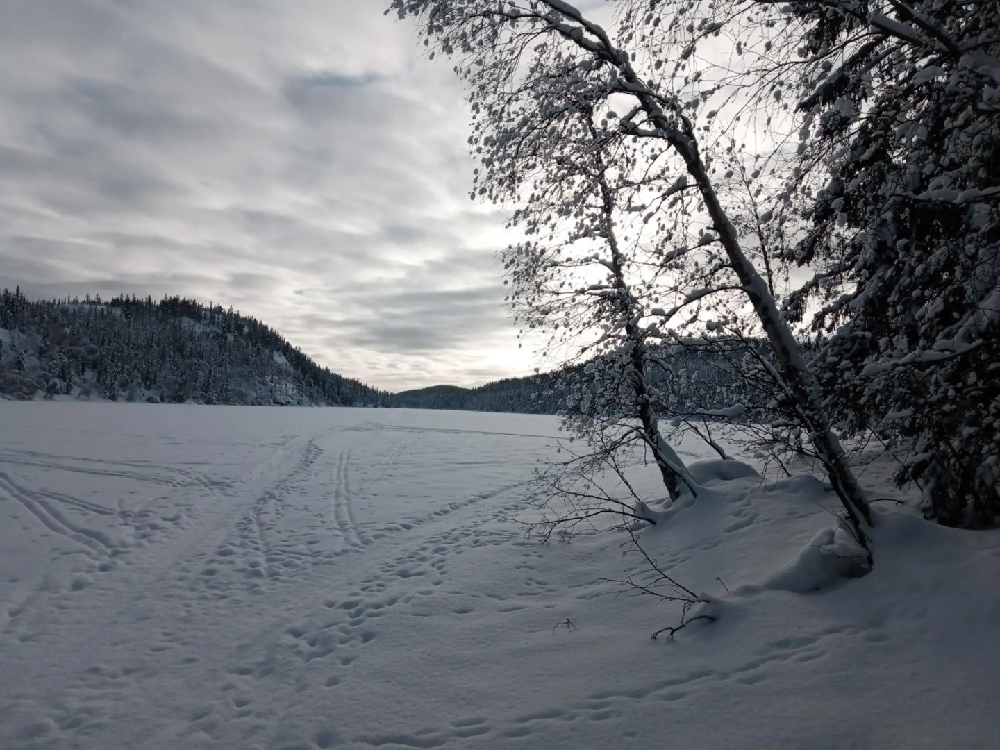 Bed and Breakfast Hadeland