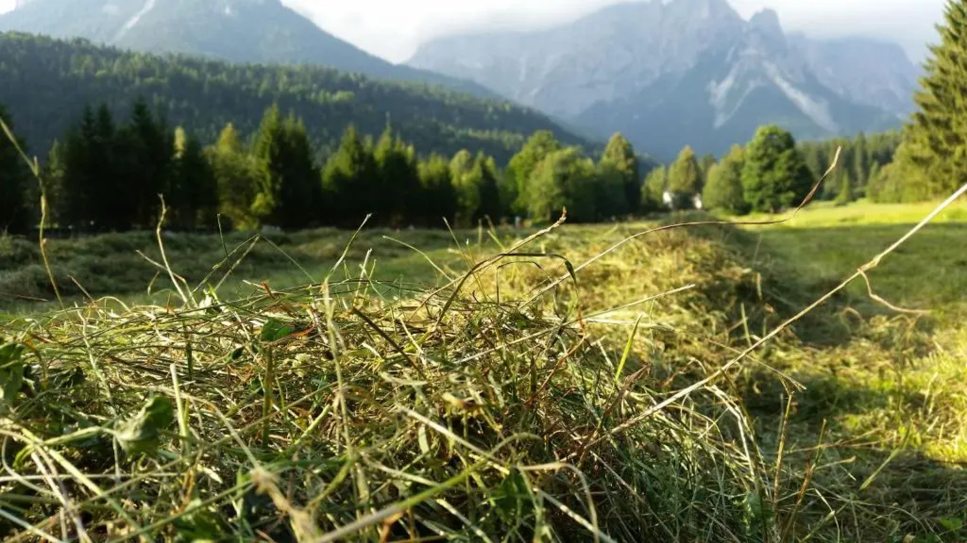 Camping Castelpietra