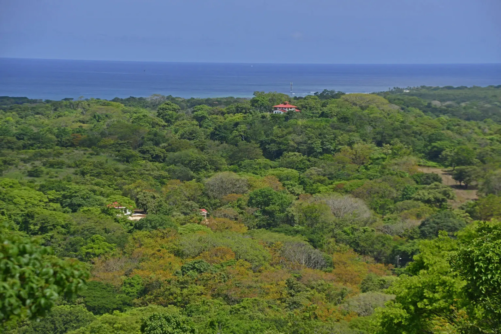 Playa Lagarto Eco Development