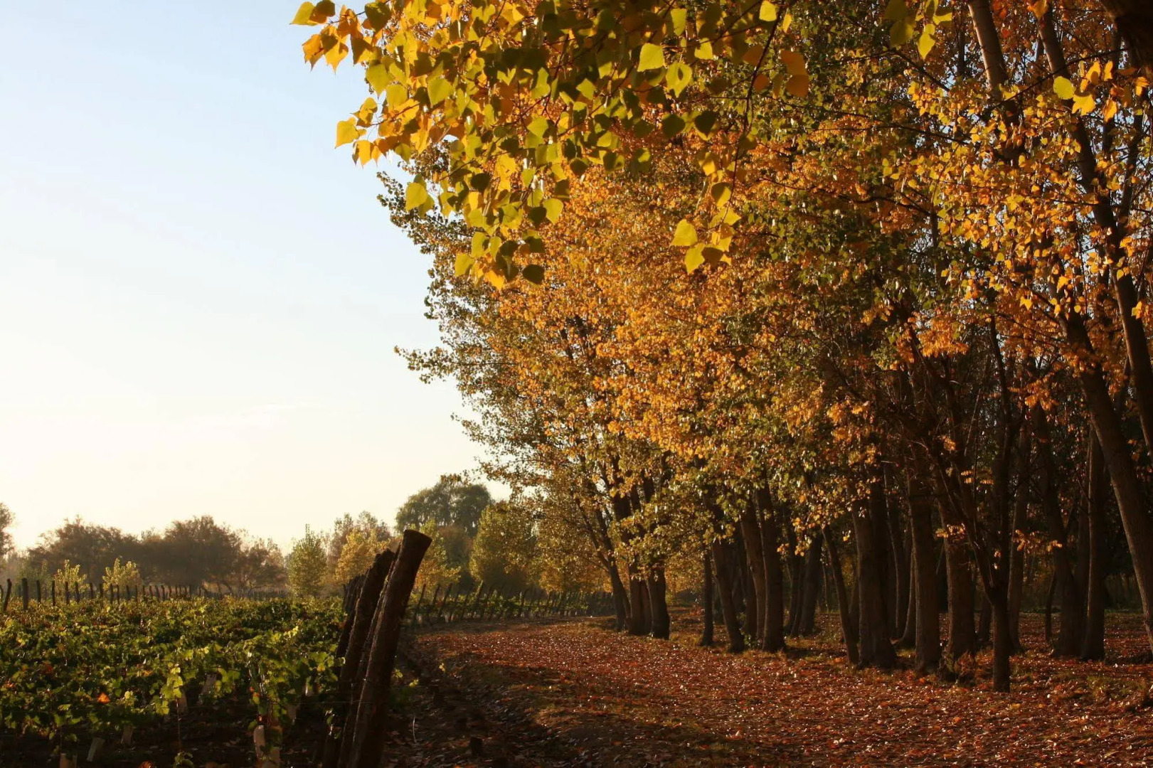 Postales Hotel Boutique Valle De Uco