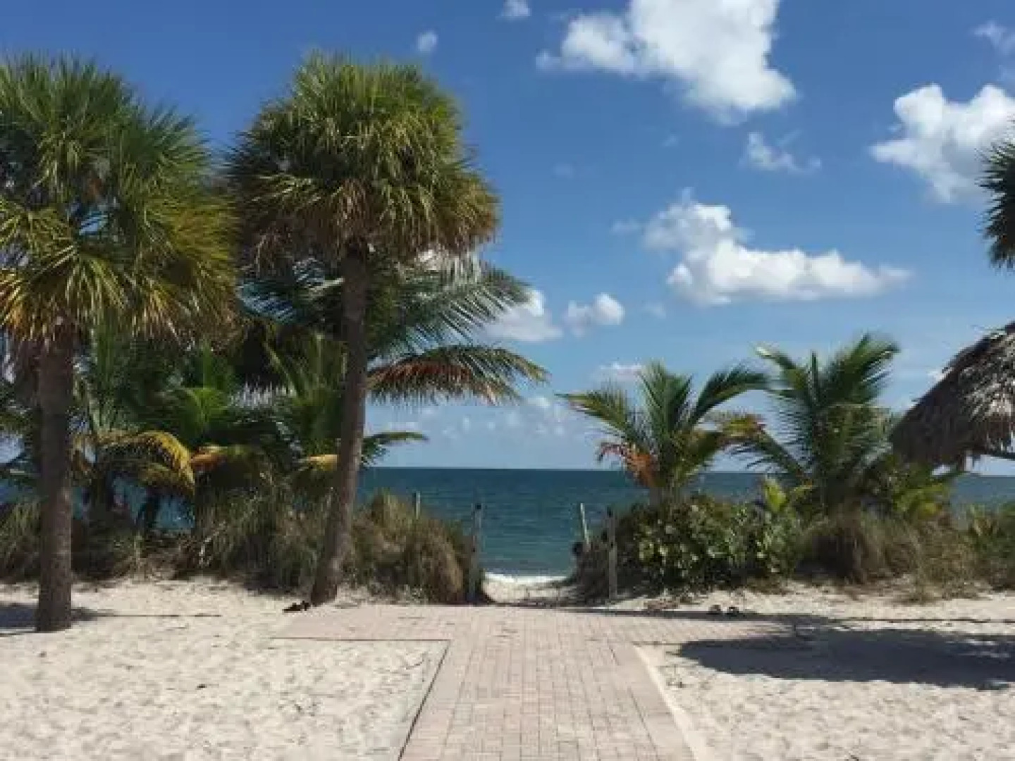 Beach Haus Key Biscayne Contemporary Apartments