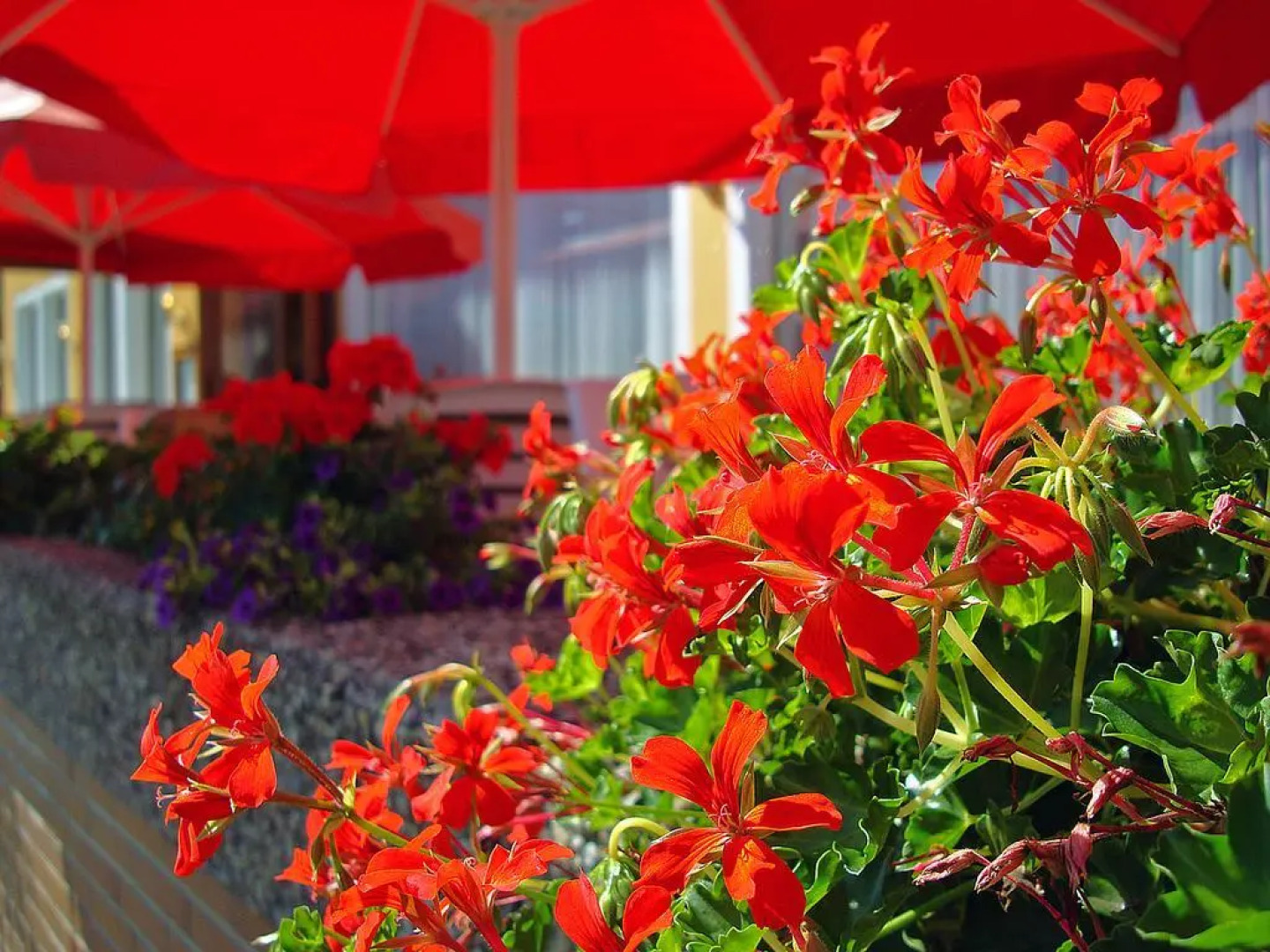 Hotel Cafe Restaurant Loreleyblick