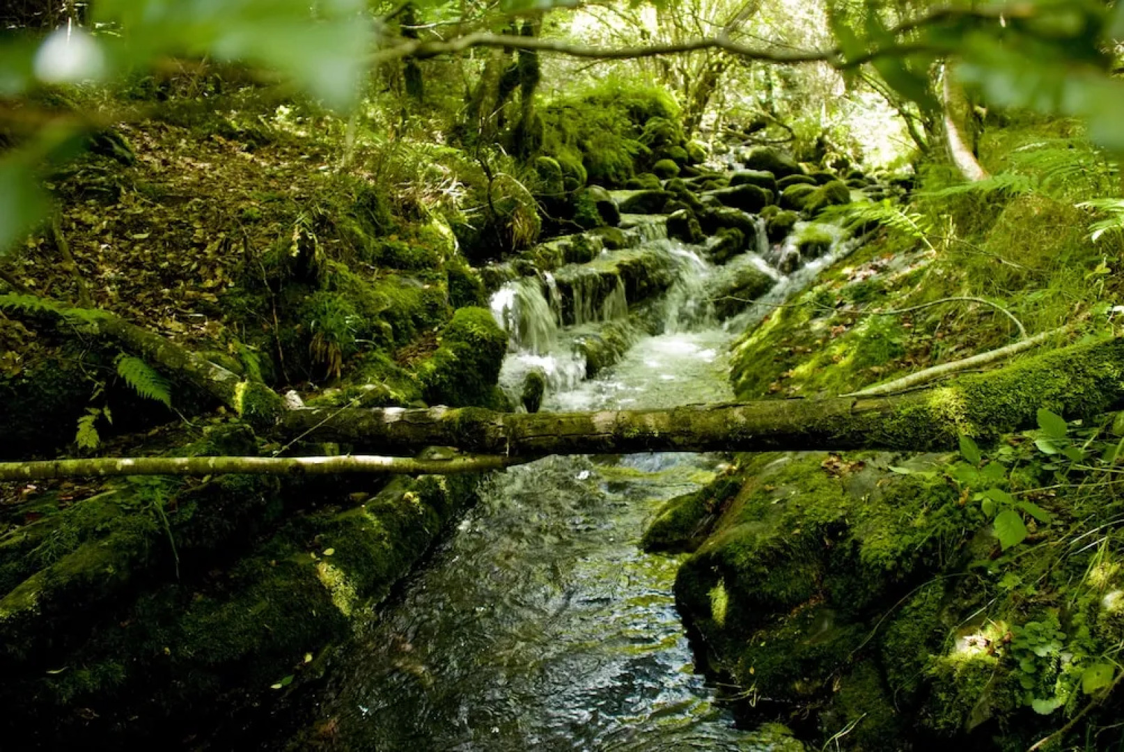 Rural House "casa Fresneda",rustic Lodging With Calm and Charm