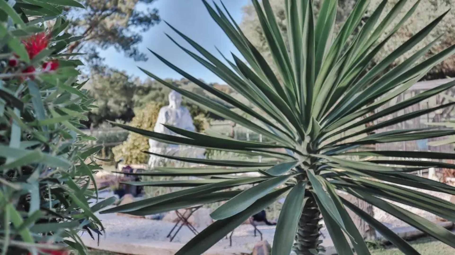 Hotel Rancho Los Lobos