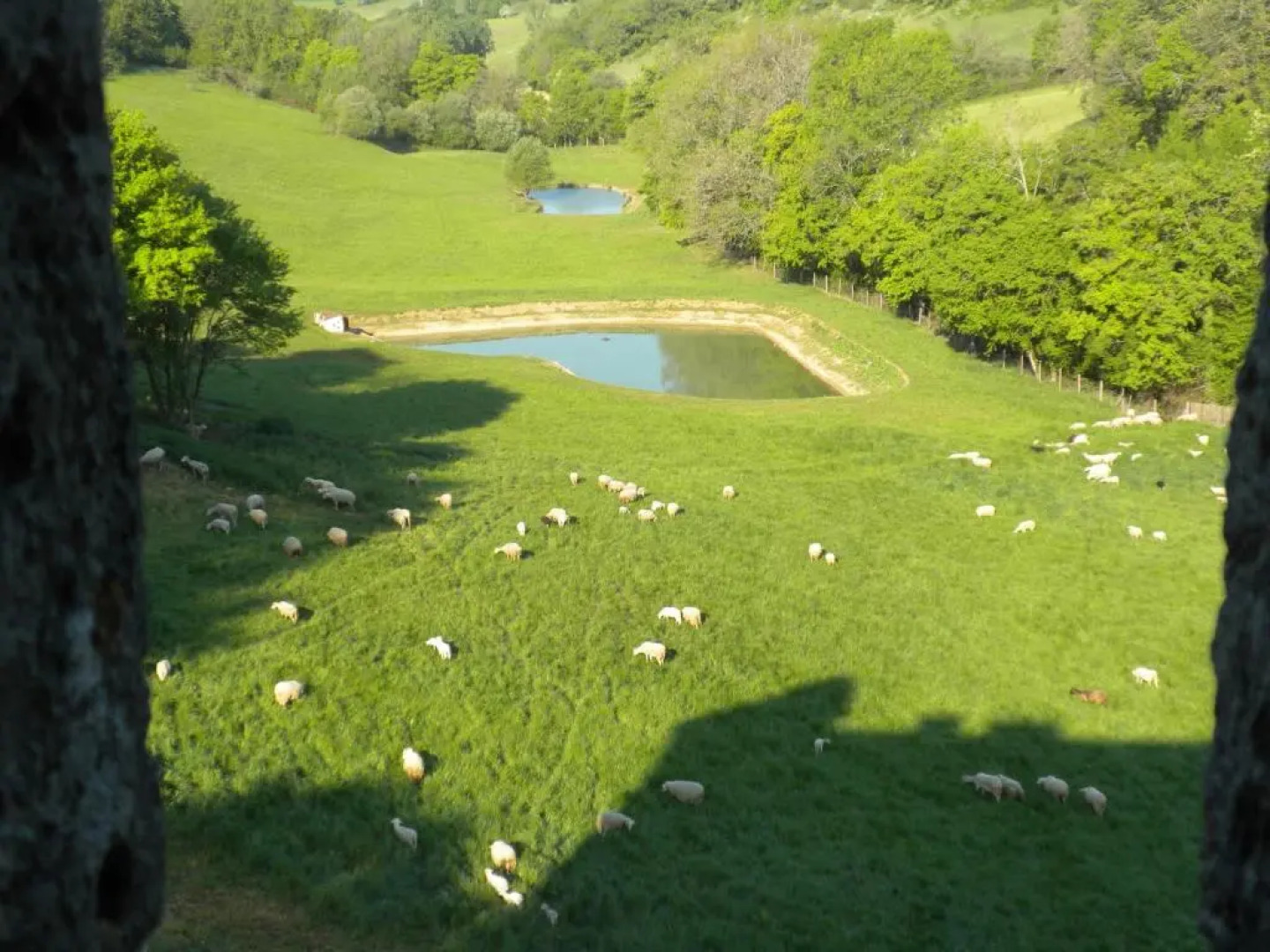 Château de Plèneselve