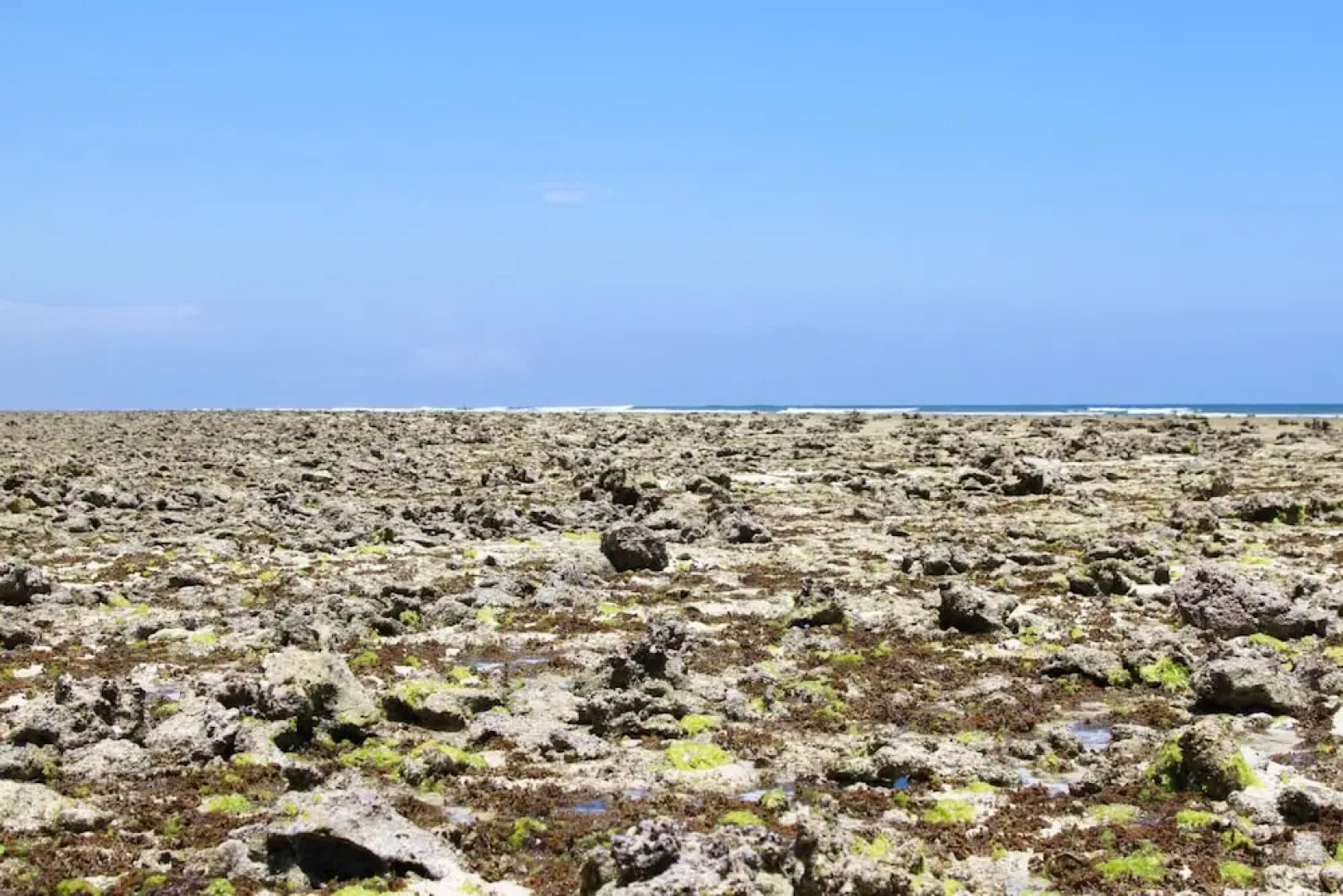 Ujamaa Beach Resort Zanzibar