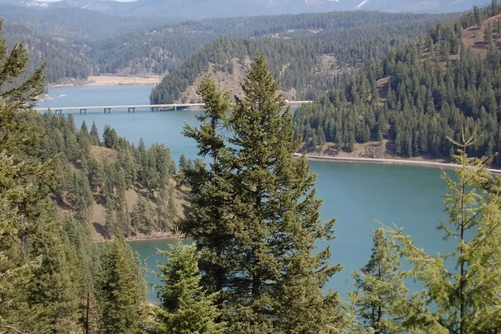 Unique 40 Acre Nature Retreat w/ Trails & Views!