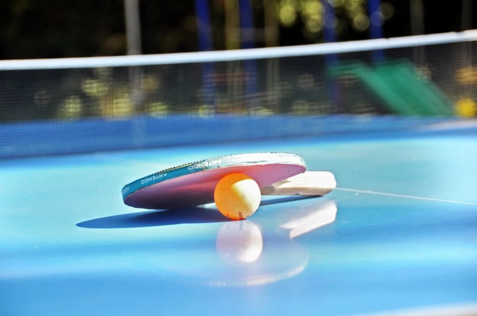 House With 3 Bedrooms in Grans, With Pool Access, Furnished Garden and