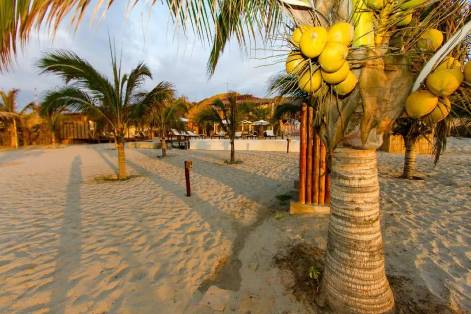 Bamboo Lodge Zorritos