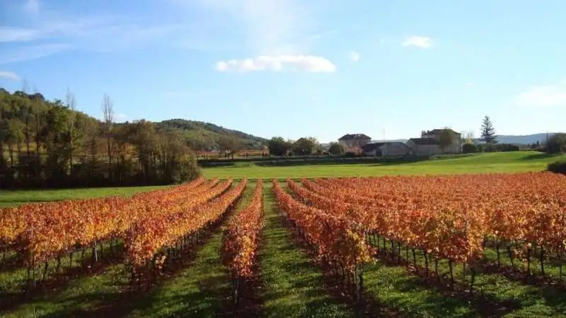 Terres de France Prayssac