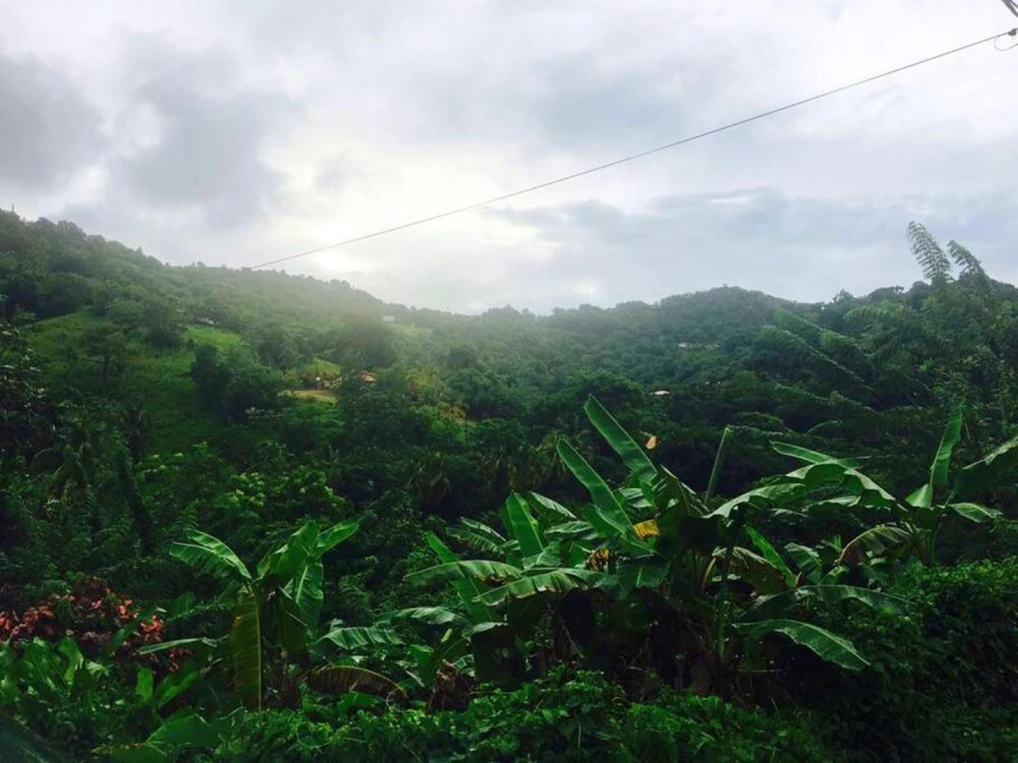 House With 2 Bedrooms in Le François, With Furnished Garden and Wifi -