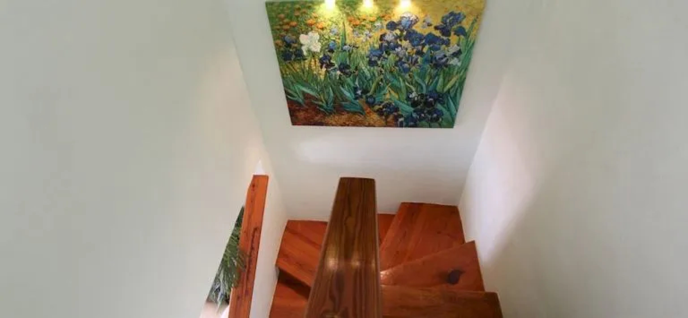 Jolly Villas