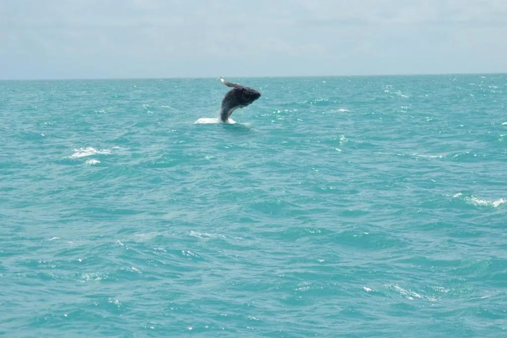 pousada corais de abrolhos