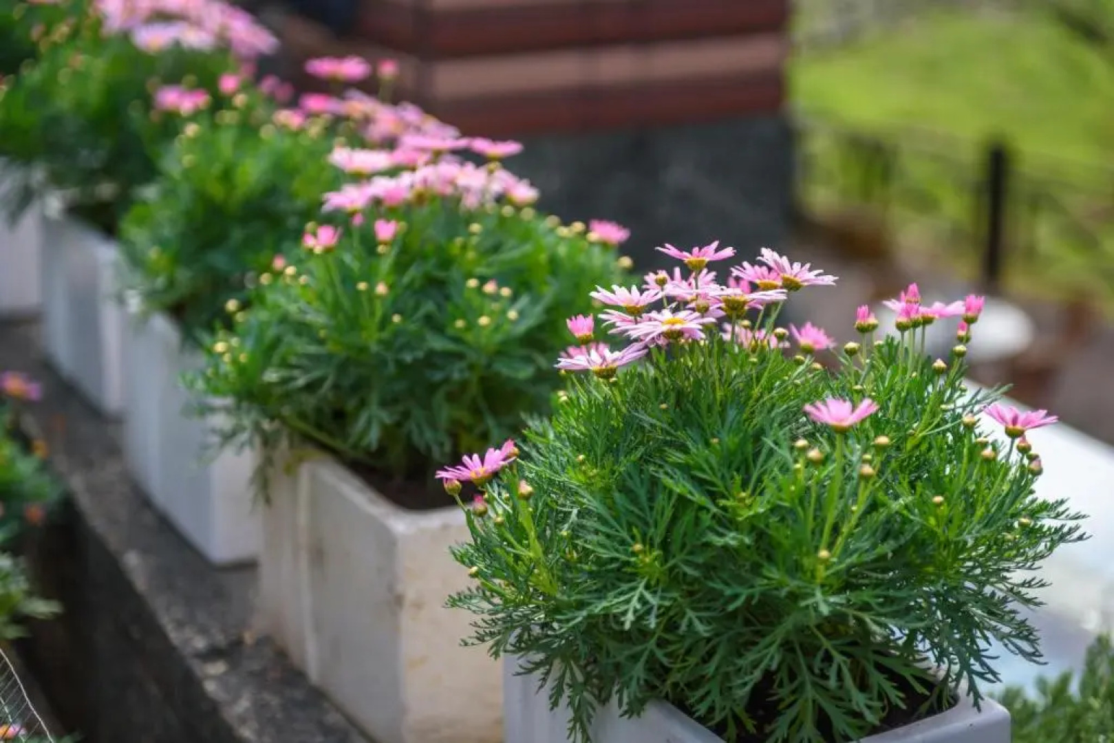 Yunlin Gukeng Da-Hu Villa B&B