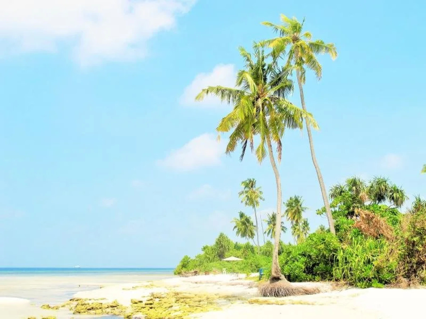 Central View - Maldives