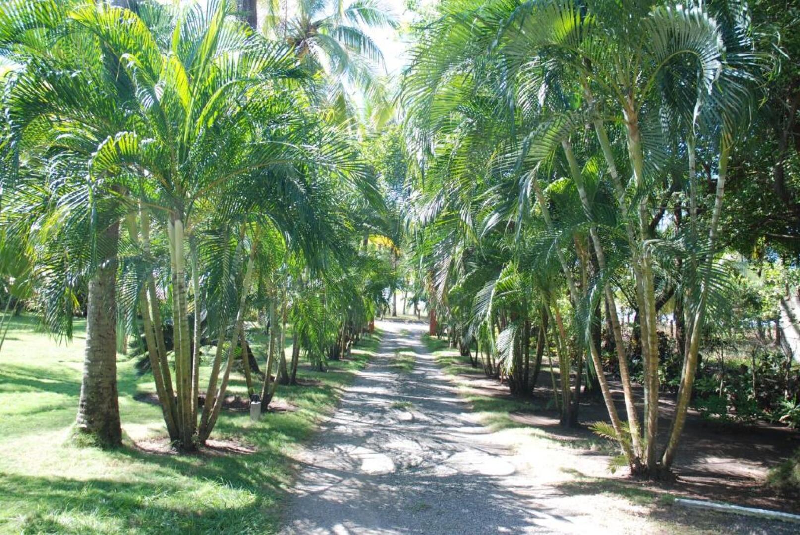 Beso del Viento - Adults Only