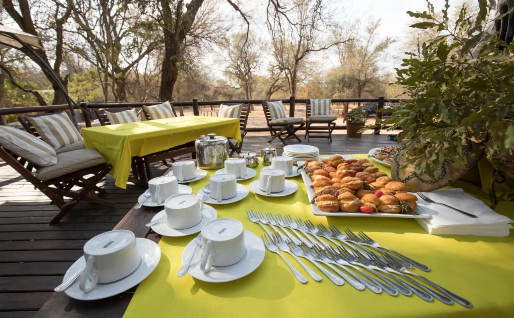 Karongwe- Shiduli Safari Lodge