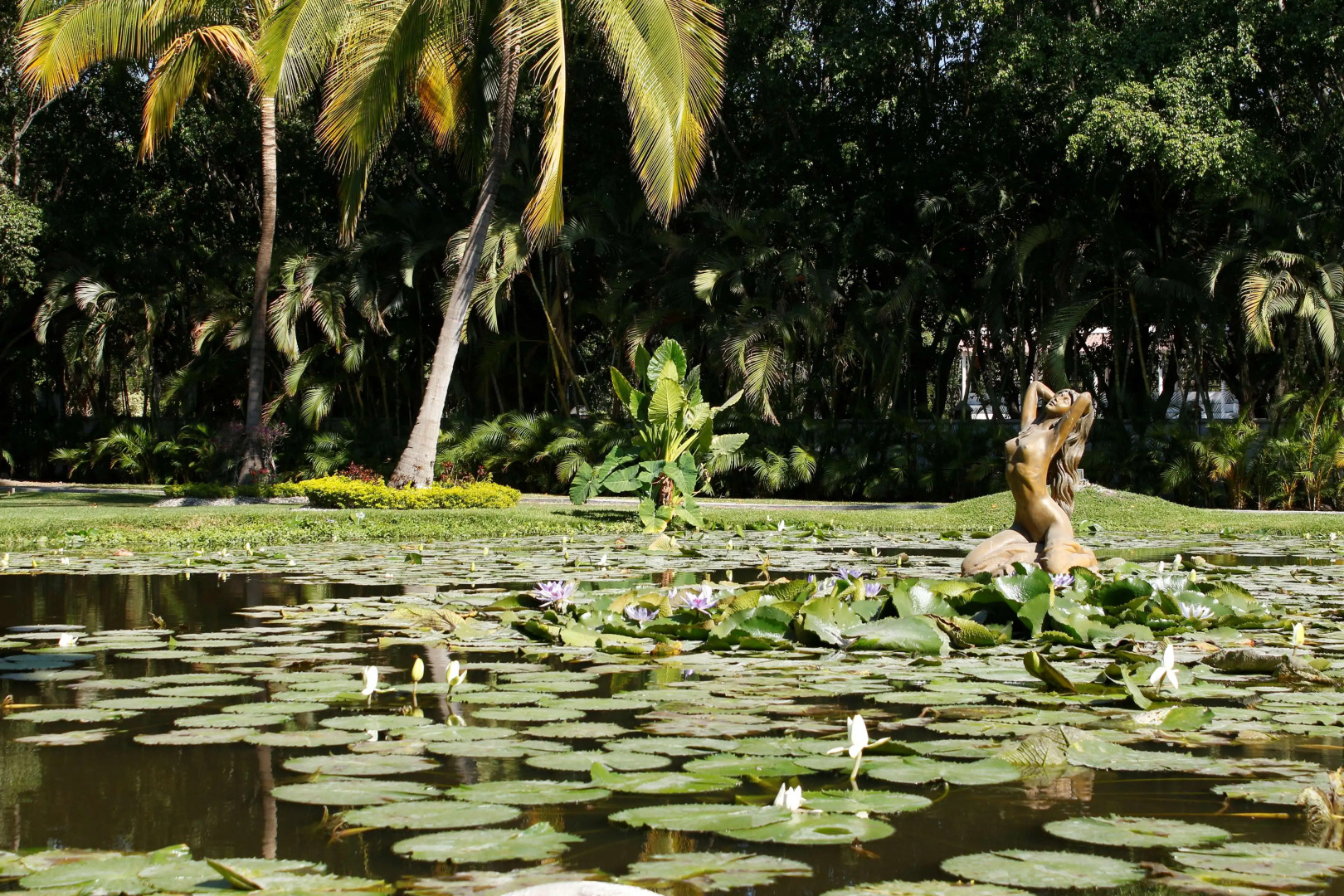 Radisson Hotel Cuernavaca