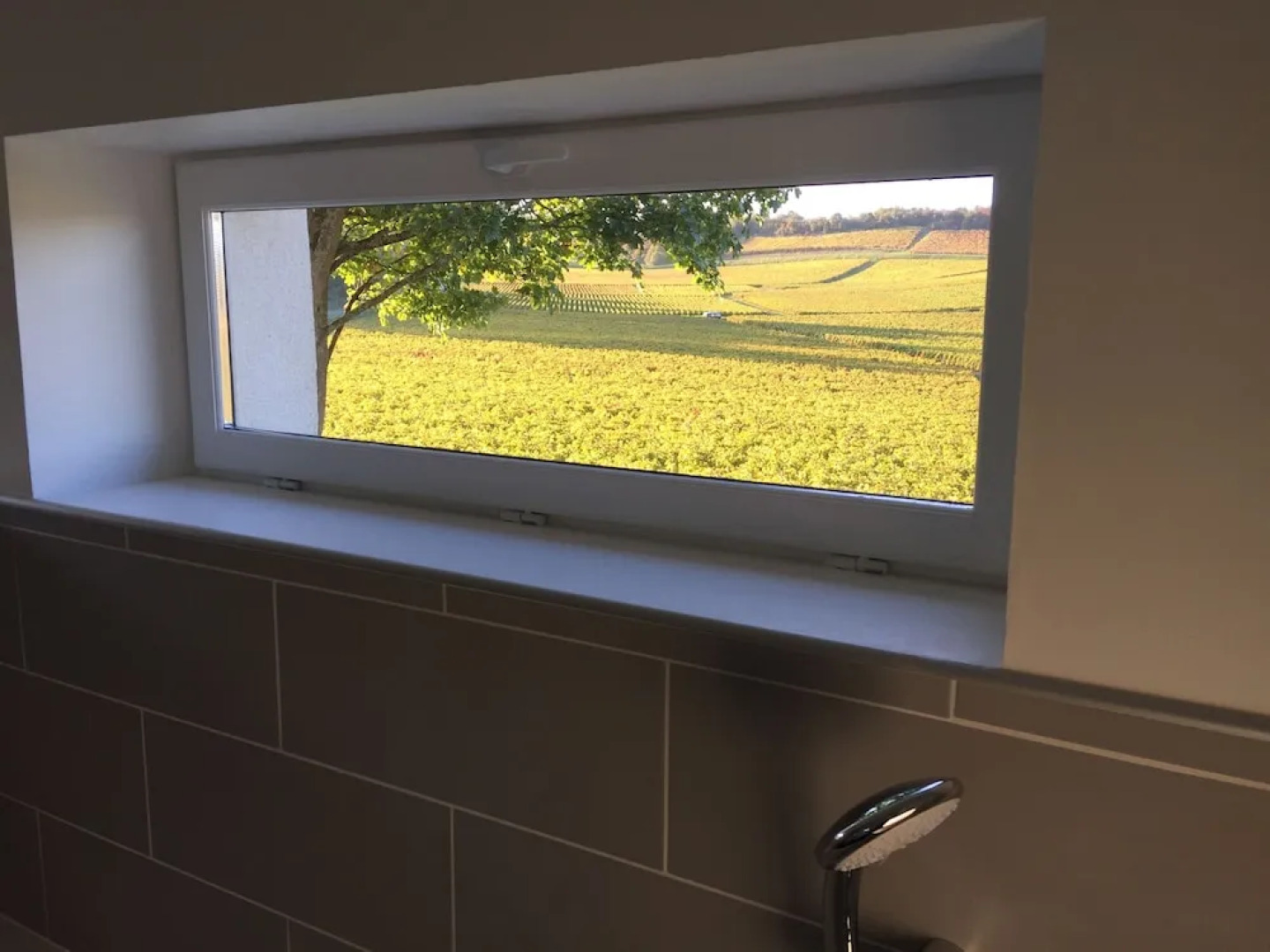 La Maison du Clos du Roi