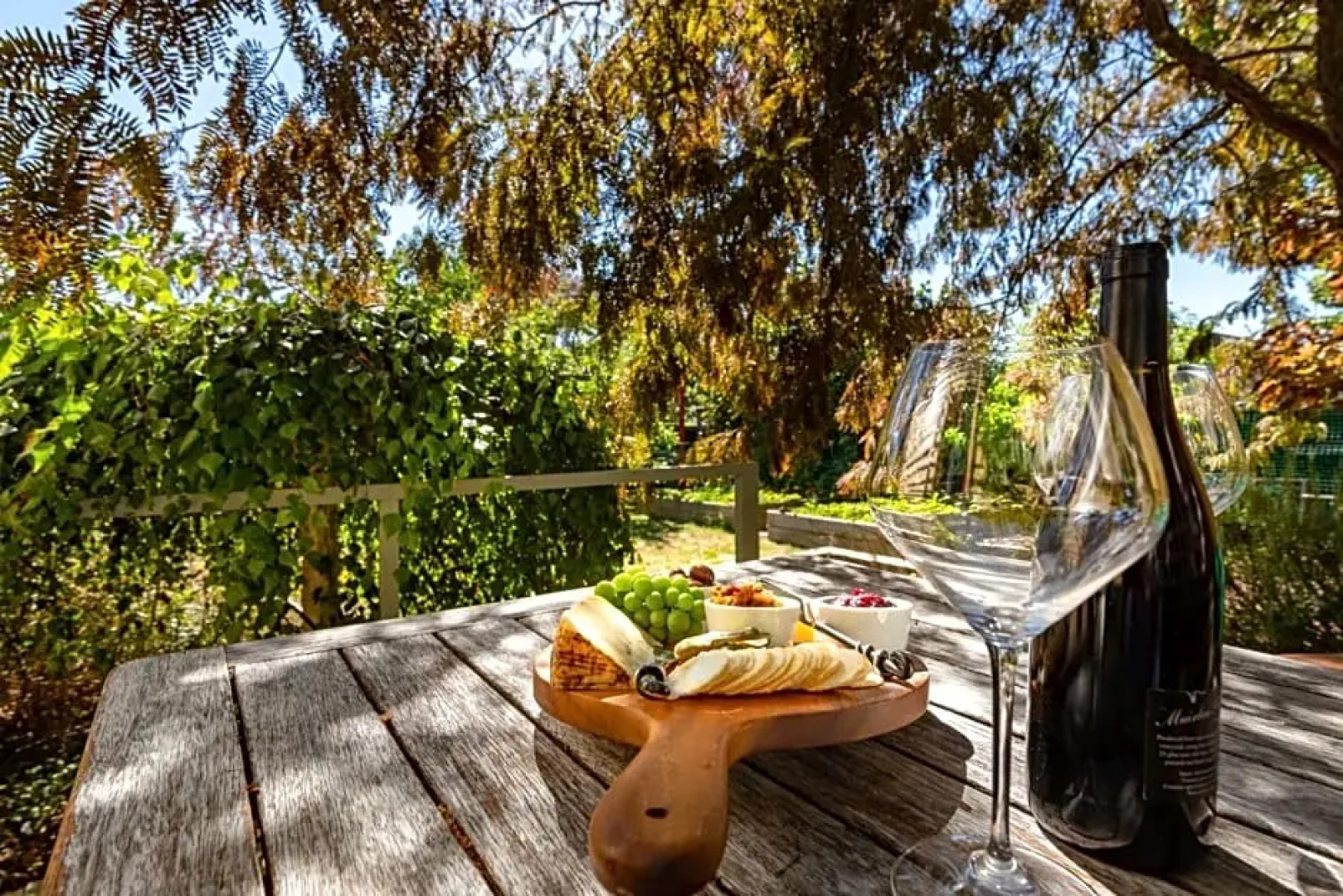 Shy Cottage and Studio