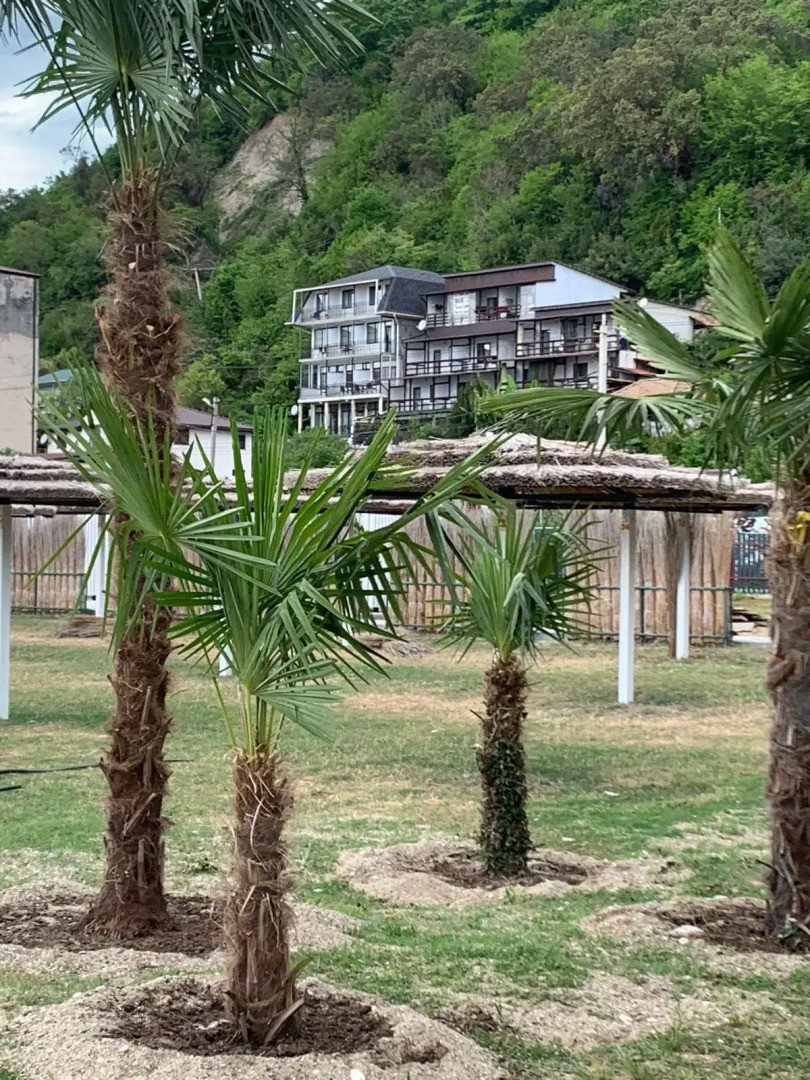 Riviera (Ривьера)