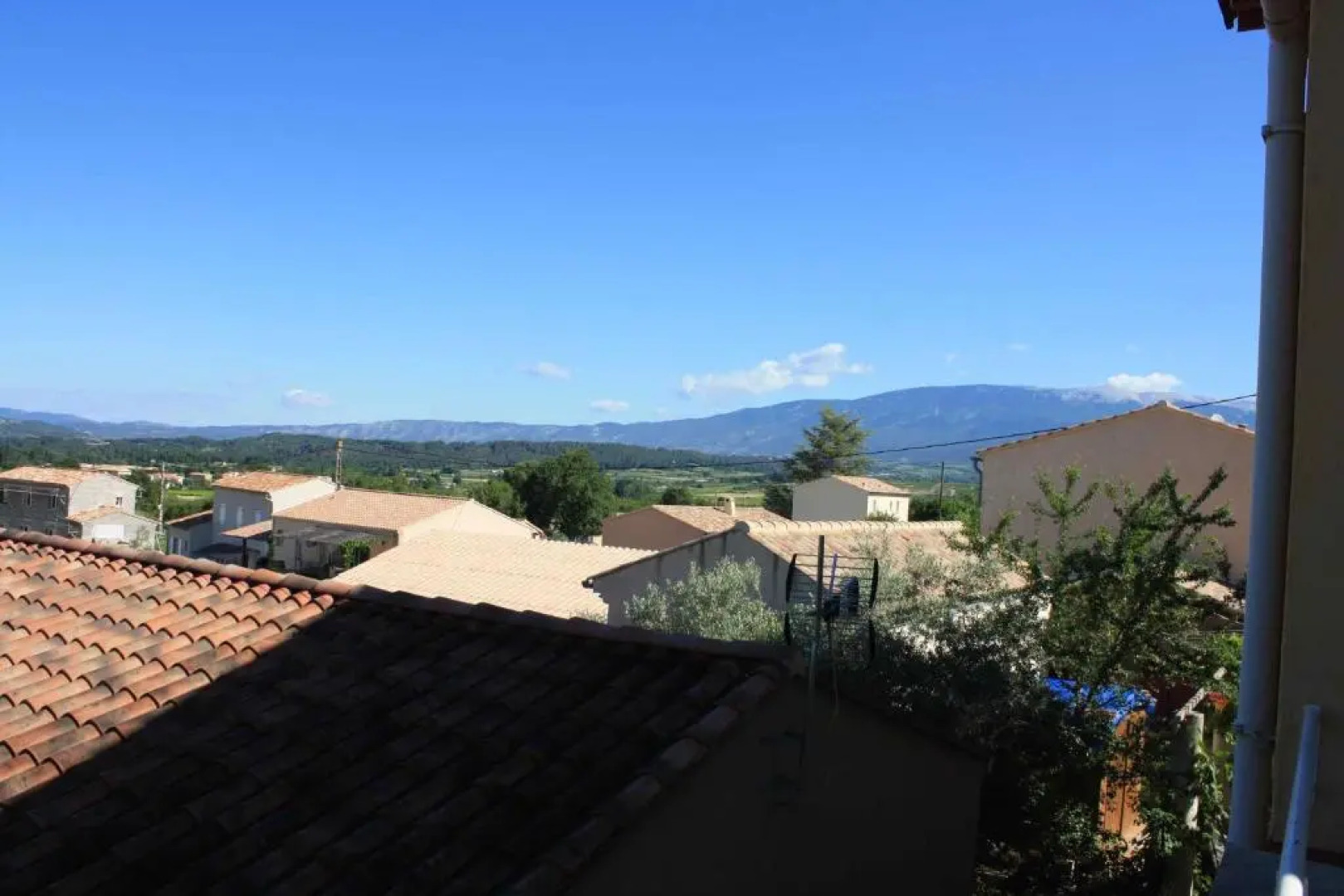 À l'ombre du mûrier