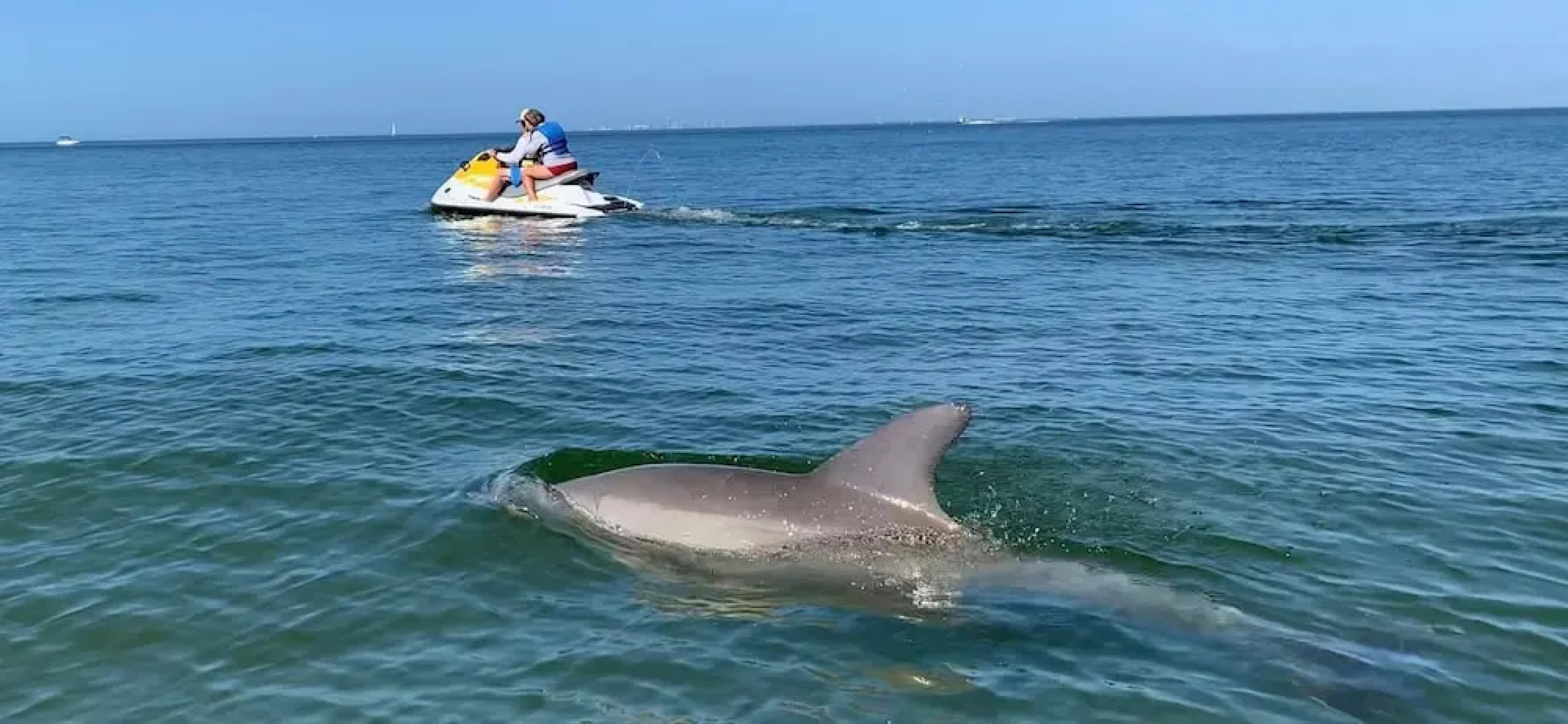 Harborside Suites at Little Harbor