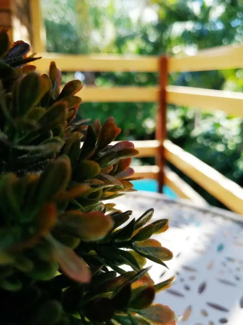 Willow Manor Brits Guest House