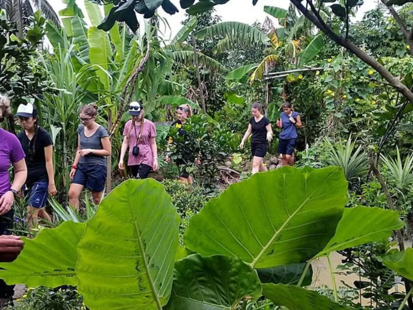 Peaceful Homestay in the Middle of Fruit Garden - Room With two Double Beds