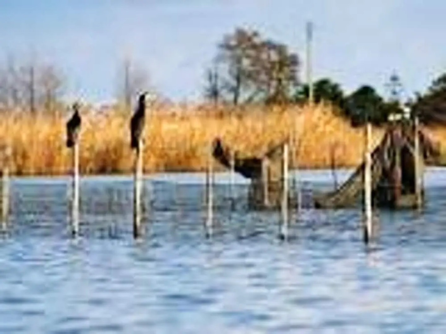 Apartment With one Bedroom in Lucciana, With Furnished Terrace and Wif