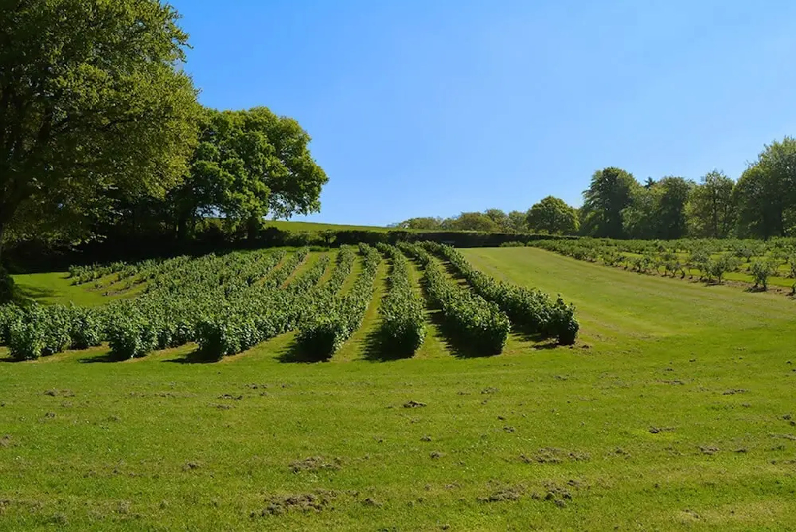 Unique rural retreat on a lovely 15 acre smallholding with award winni