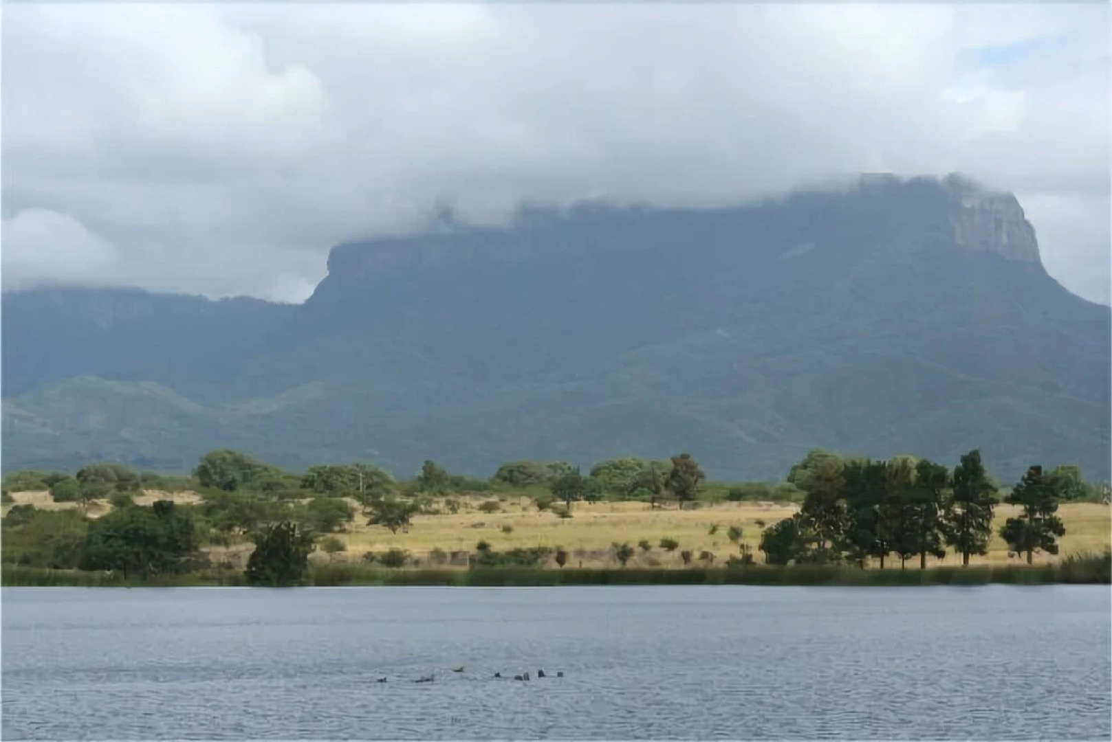Fleur de Lys Guest Farm