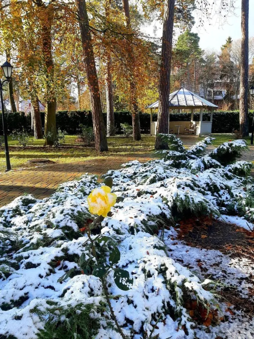 Апарт-отель WoodenVilla