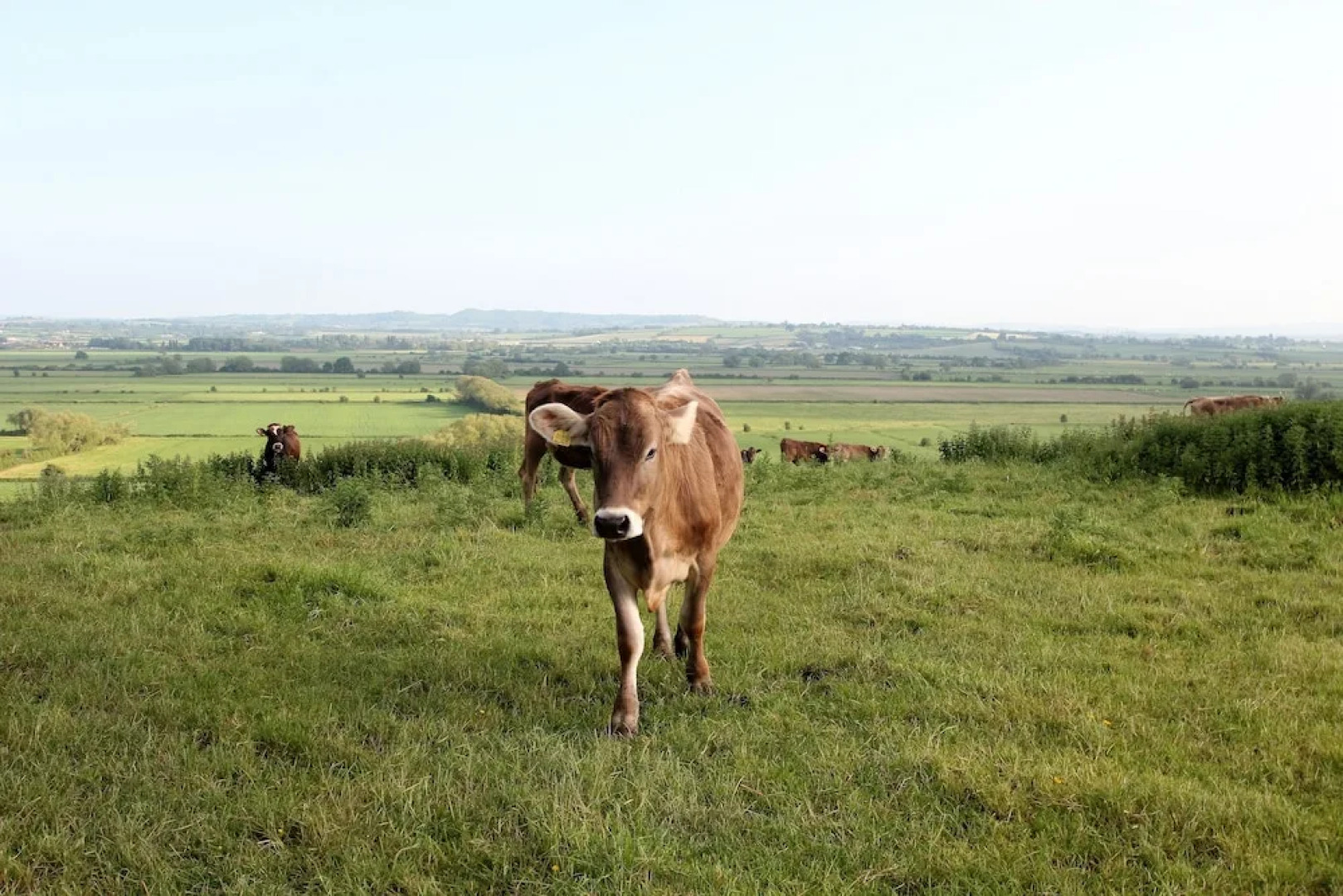 B & B at West Knole House