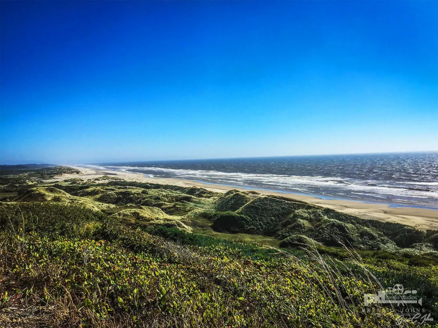 Beachcomber Cottages