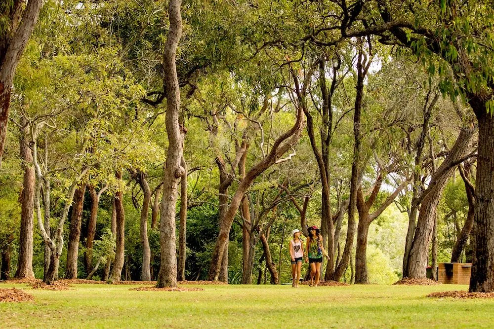 Discovery Holiday Parks - Tannum Sands