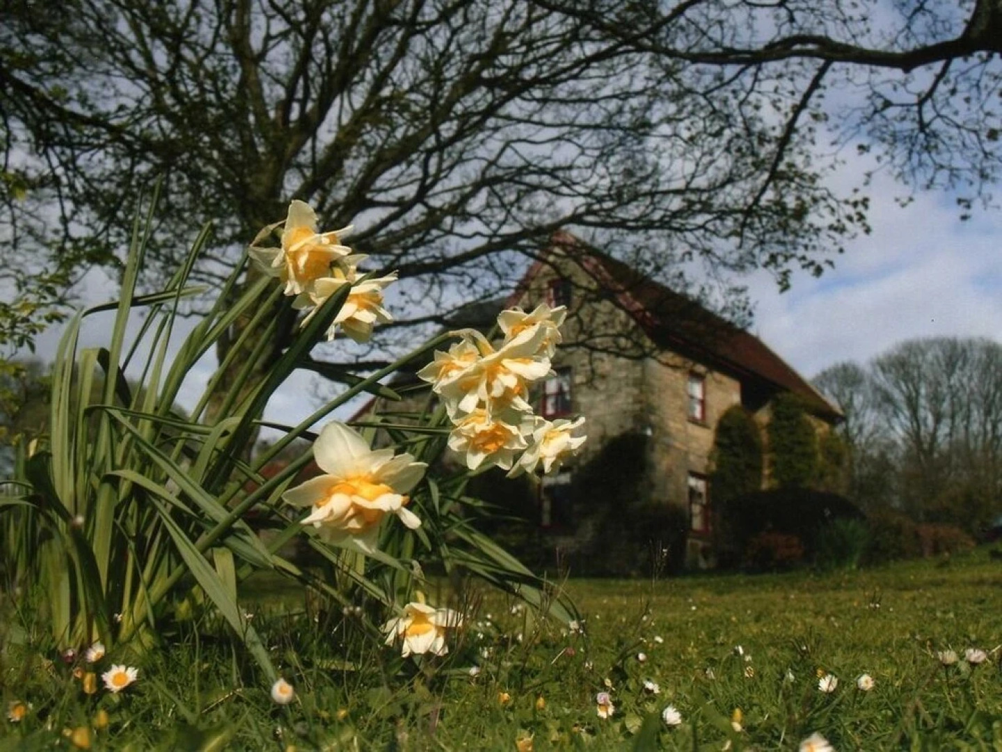 High Farm bed & breakfast