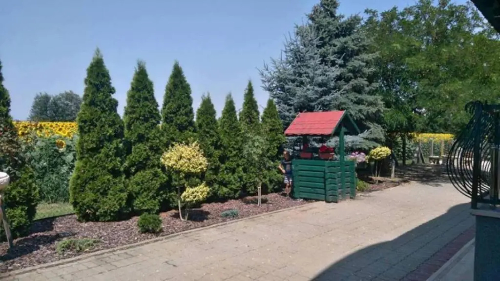 Horgász-Vadász Vendégház