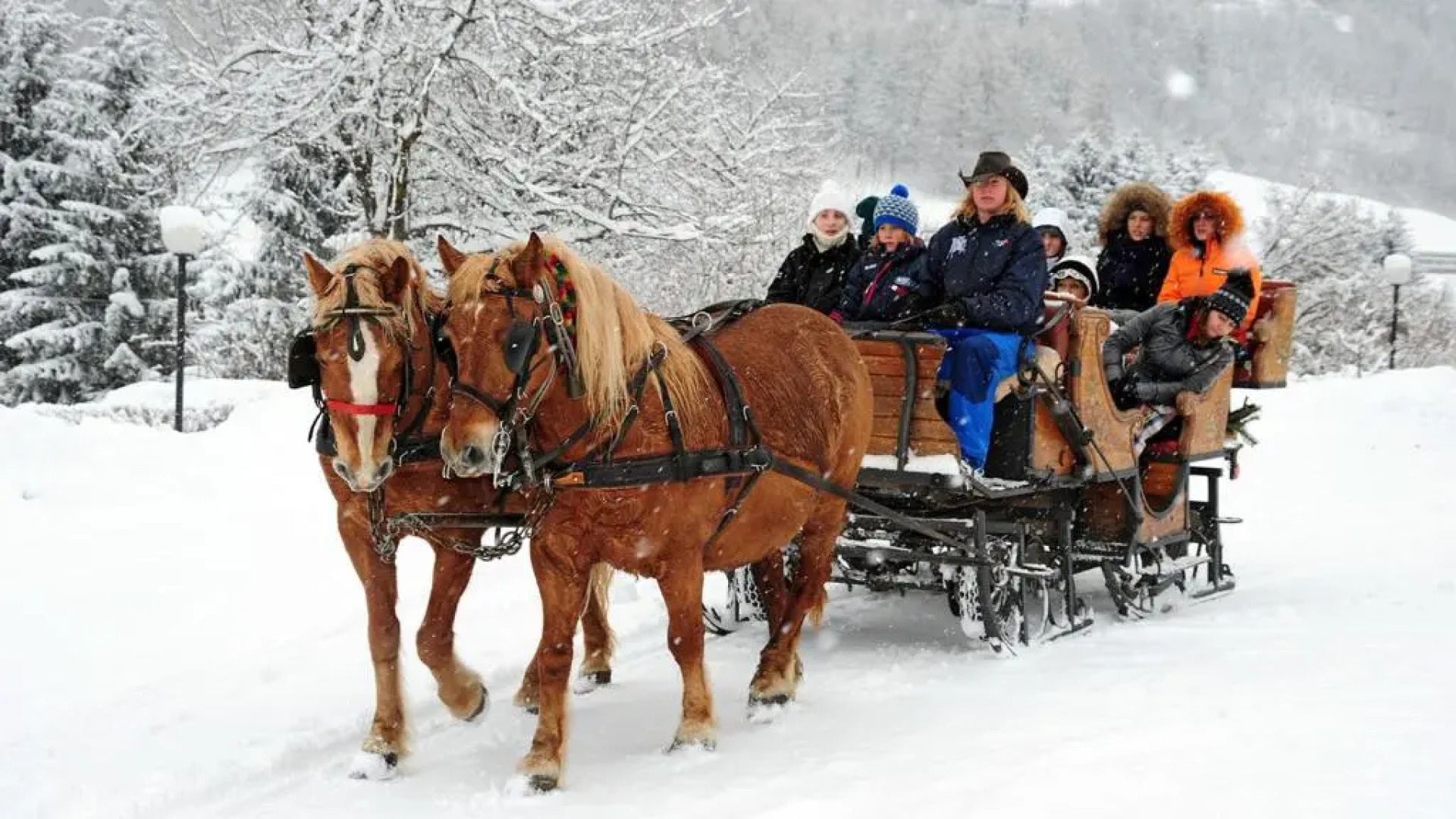 Appartamenti Pegolotti