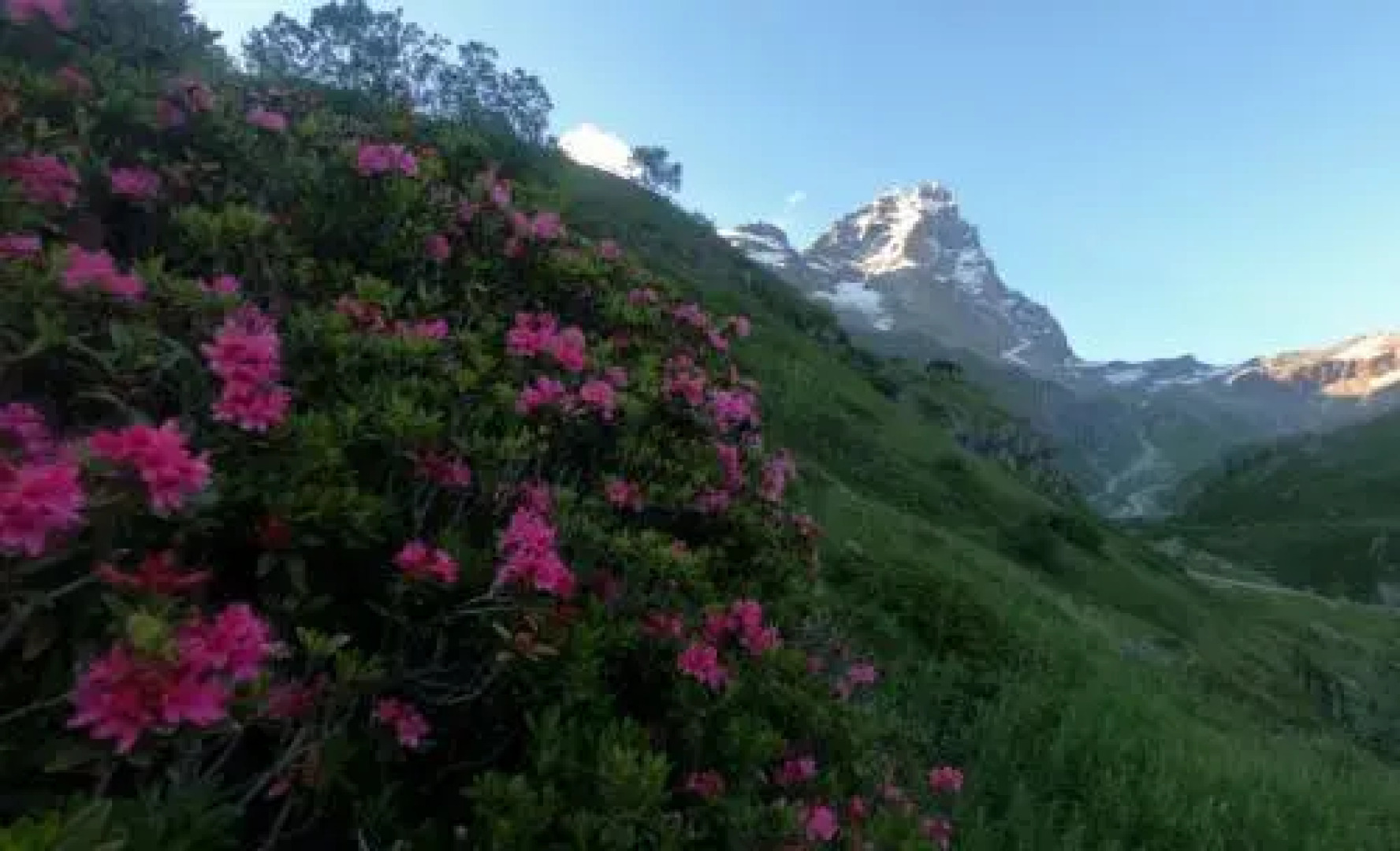 Le Samovar Guest House